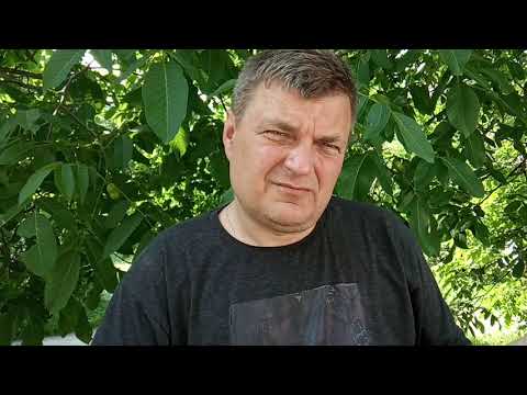 Видео: Bajaj Boxer Итоги эксплуатации на пробеге 10 500. Часть 2. Карбюратор.