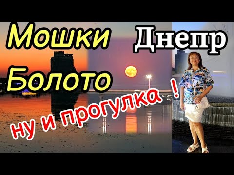 Видео: ДНЕПР 💥МОШКИ🤢БОЛОТО✅НУ и Прогулка ⛔20.08.2024 г.