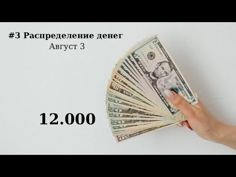 Видео: #3 Распределение денежных средств по системе конвертов. Новые байндеры, новые категории. Август 3