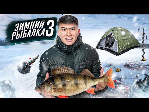 Видео: 24 сағат ҚЫСҚЫ РЫБАЛКА 3-ші сезон // Жыртқыш БАЛЫҚТАРҒА ОХОТА  шығамыз // Қақаған АЯЗДА Рыбалка