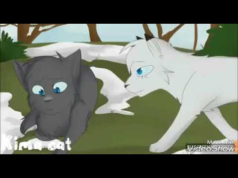 Видео: Ты убил меня сам дурак!(Коты воители)