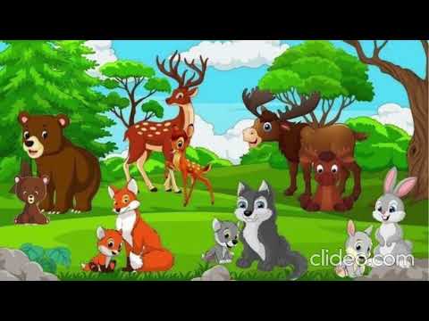 Видео: Ознайомлення з природним довкіллям  "Подорож до чарівного лісу".