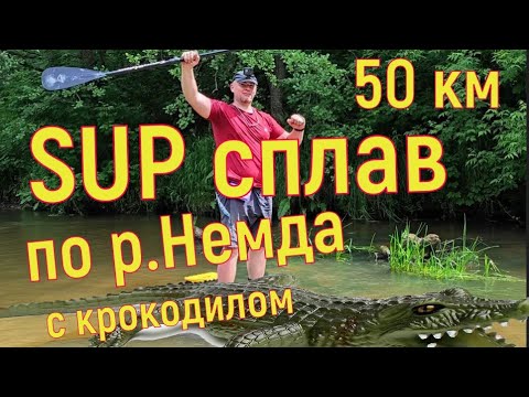 Видео: SUP сплав с Геннадием по р. Немда 50 км. 2023 г.