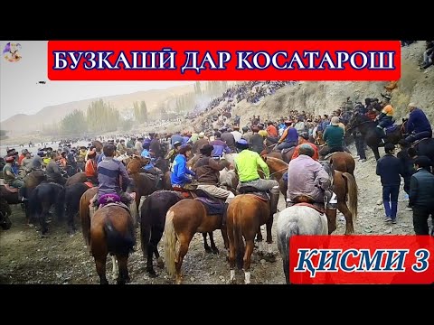 Видео: БУЗКАШӢ ДАР ДЕҲАИ КОСАТАРОШ 26 10 2025 ҚИСМИ 3.