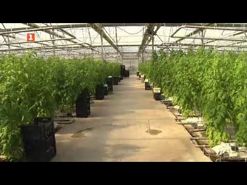 Видео: Оранжерия с нулев въглероден отпечатък, Бразди - 20.03.2021 по БНТ