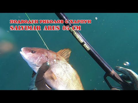 Видео: Подводен риболов със Salvimar ARES 85 см