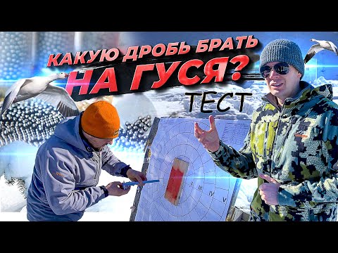 Видео: Какую дробь брать на гуся. Дробь 1, 0, 00 или 0000. ТЕСТ. Лучшая дробь на гуся 12 калибра.
