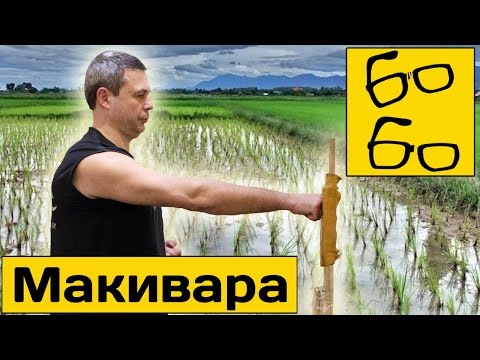 Видео: Работа на макиваре с Виктором Панасюком — цели и методика тренировки ударов на макиваре