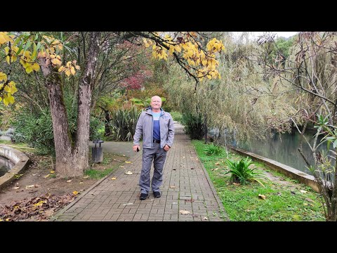 Видео: Новый Афон прогулка сегодня 24 10