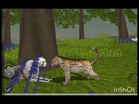 Видео: Мини фильм Wildcraft "История Звёздочки * 1 серия