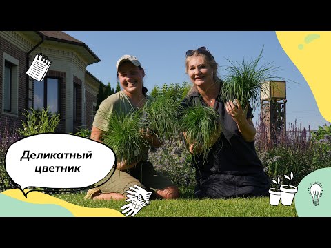 Видео: Цветник в саду | Как создать цветник в саду? | Шалфей | Котовник | Злаки