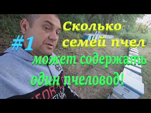 Видео: ✅ Сколько семей ПЧЕЛ могу СОДЕРЖАТЬ я САМ без помощников...?! #ПЧЕЛОВОДСТВО1 начинающим с нуля!