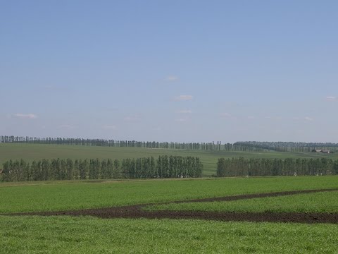 Видео: Нормирование антропогенных нагрузок на почву при формировании экоагроландшафтов