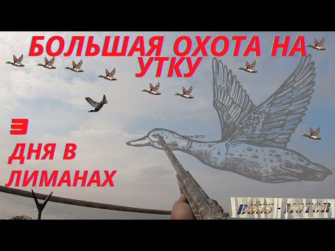 Видео: ОХОТА НА УТКУ! 3 ДНЯ В ЛИМАНАХ..