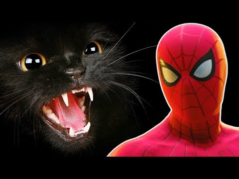 Видео: #12 Паук vs ЧЕРНАЯ КОШКА! Человек паук ps4 Прохождения игры Marvel's Spider Man