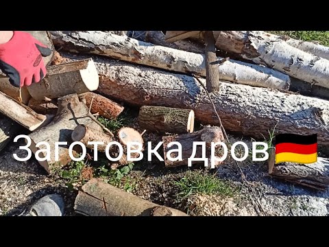 Видео: 🇩🇪 ДРОВА на зиму