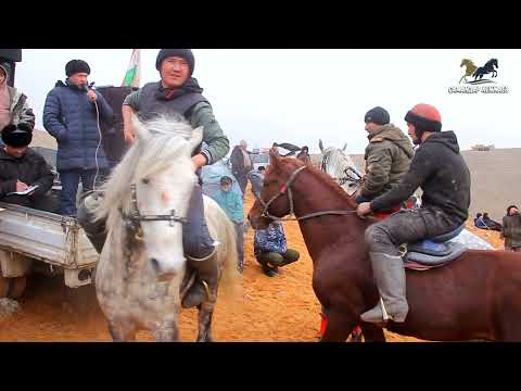 Видео: Бузкаши Теракли 12.02.2025