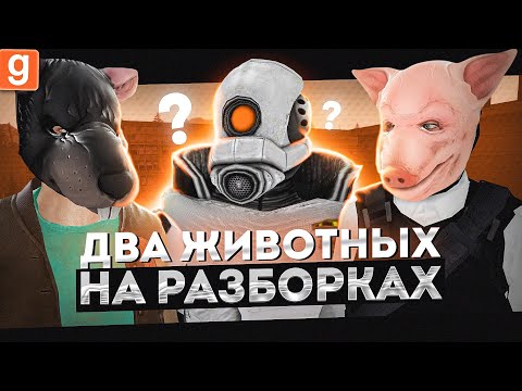 Видео: ДВА ЖИВОТНЫХ ОБМАНЫВАЮТ АДМИНА НОВИЧКА В Garry's Mod DarkRP