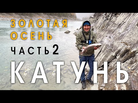 Видео: Рыбалка на Катуни среди золотых гор. Осень 2021. Часть 2. Крупный ленок и таймень!