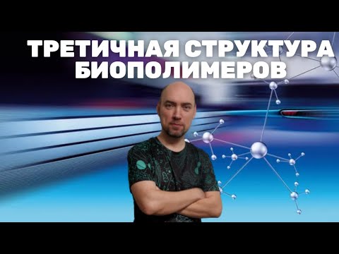 Видео: Что такое третичная структура биополимеров? Душкин объяснит
