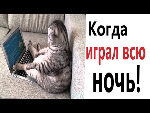 Видео: Лютые приколы. КОГДА ИГРАЛ ВСЮ НОЧЬ!!! Самое смешное видео! ТЕСТ НА ПСИХИКУ! – Domi Show!