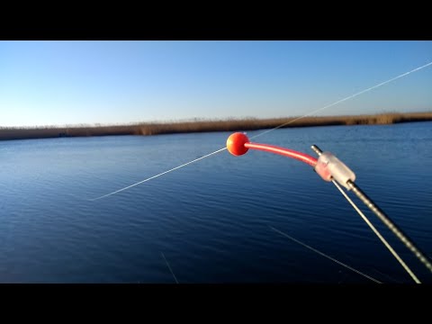 Видео: 7 кг леща на фидеры в ДНЕПРЕ