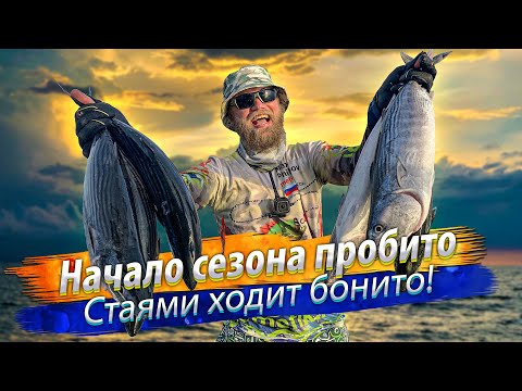 Видео: Рыбалка в океане. Джиггинг в начале сезона. Охота за морским хищником.