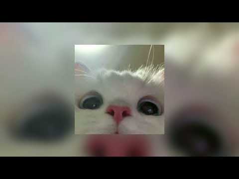 Видео: lovv66&og buda - неправильно (speed up)