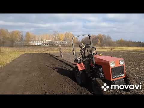 Видео: Пашу девять участков. 26.10.24.