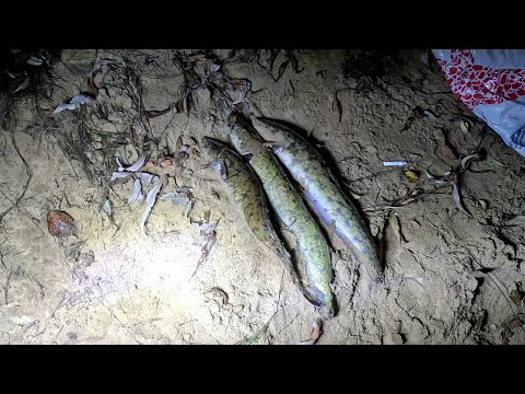 Видео: Пробный выезд на налима.На Рыбалку,для души!!!