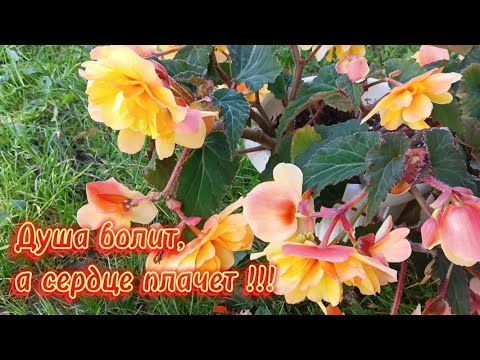 Видео: Как бы не было больно,без этого никак.