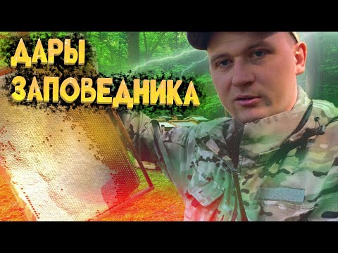 Видео: Пробираемся к дому лесника.