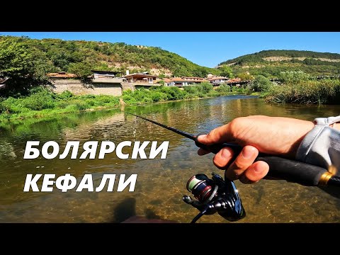 Видео: ГРАДСКИ РИБОЛОВ във ВЕЛИКО ТЪРНОВО най - ТРУДНИЯ ПРЕХОД в ДЖУНГЛАТА - 81 ГОДИШЕН ДЯДО лови КАРАКУДИ