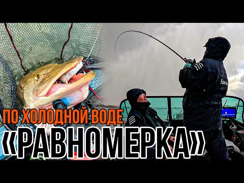 Видео: Основа ОСНОВ при Ловле Щуки - РАВНОМЕРНАЯ ПРОВОДКА | Как поймать ПАССИВНУЮ РЫБУ?