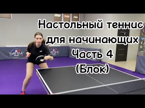 Видео: Настольный теннис для начинающих🏓 #tabletennis #настольныйтеннис #pingpong #playing #russia