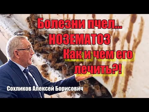 Видео: НОЗЕМАТОЗ. Понос пчёл. Причины возникновения, лечение и профилактика. Народные способы лечения.