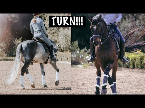 Видео: Как повернуть лошадь?!