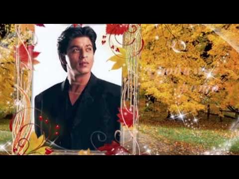 Видео: Осенние раздумья и цвета...   SRK