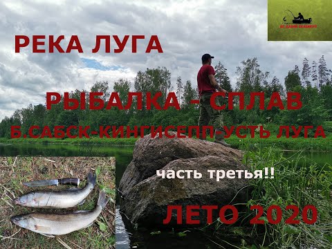 Видео: река Луга  Куровицы - Усть Луга рыбалка - сплав, лето 2020