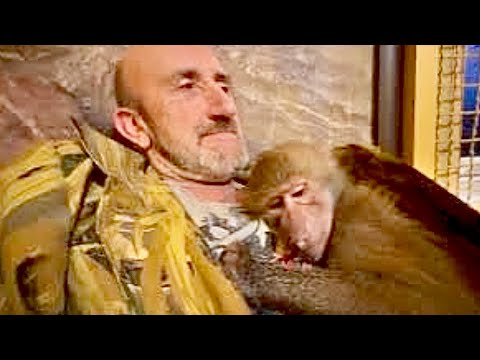 Видео: Такое РЕДКО УВИДИШЬ! Люся ложится спать как человек, а Степа как мальчик-хулиган)))