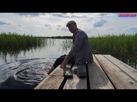 Видео: ЗАПОВЕДНИК ЭНДЛА. ЛЕСНОЙ ДОМ.