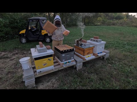 Видео: Подготовка к зиме 2025 года