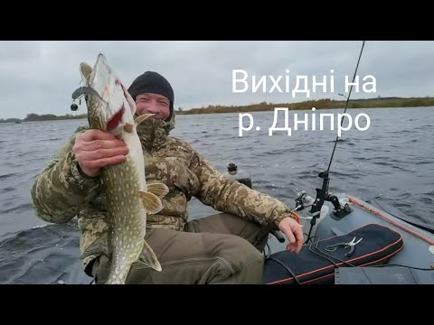 Видео: Дурні, але щасливі!