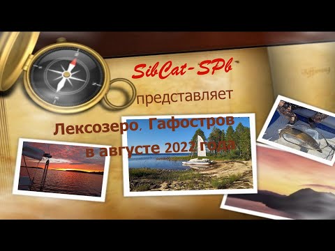 Видео: Гафостров. Лексозеро, август 2022 года