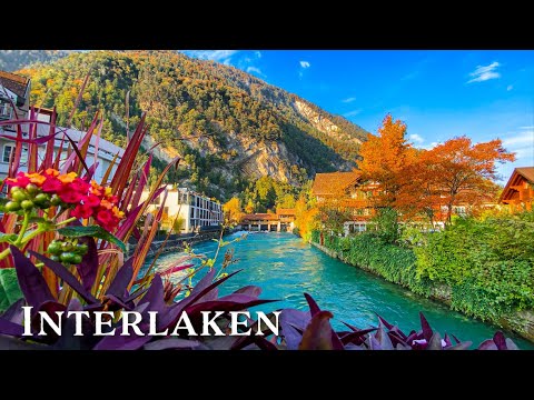 Видео: Самая красивая осенняя листва в Интерлакене, Швейцария 🇨🇭 Осень в Швейцарии