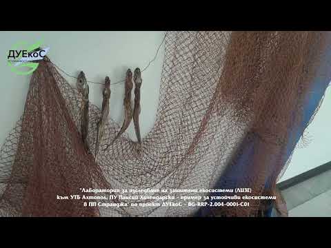 Видео: Лаборатория за изследване на защитени екосистеми (ЛИЗЕ)  ПУ "Паисий Хилендарски" по проект ДУЕкоС