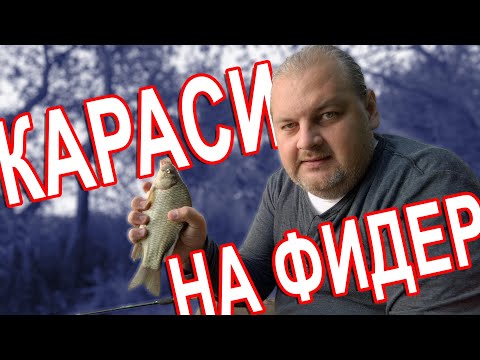 Видео: БЛУДНЫЙ КОТ - Ловля карася на фидер, секретная добавка!