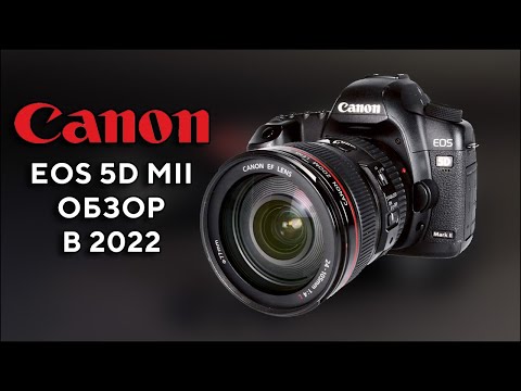 Видео: Canon EOS 5D Mark II В 2023 Коммерция сравнение