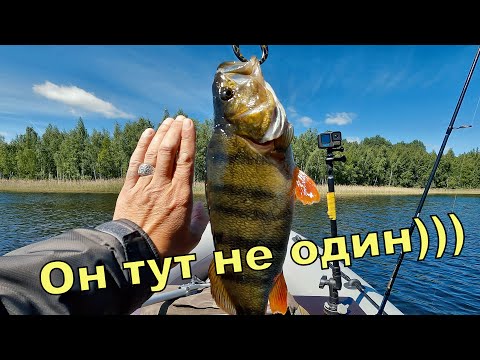 Видео: Рыбалка на любимом озеро. Щука и толстый окунь на спиннинг