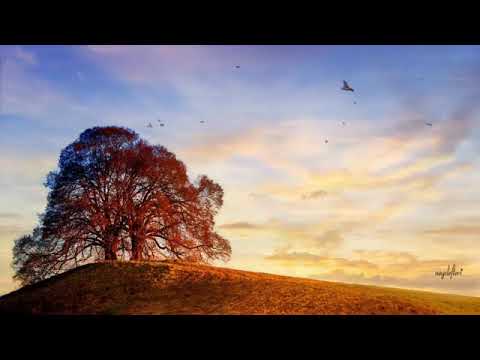 Видео: РОДИТЕЛИТЕ